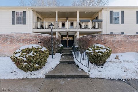 Condo For Sale - 25 Berkshire Court #3A<br/> Summit County, Akron, OH 44313