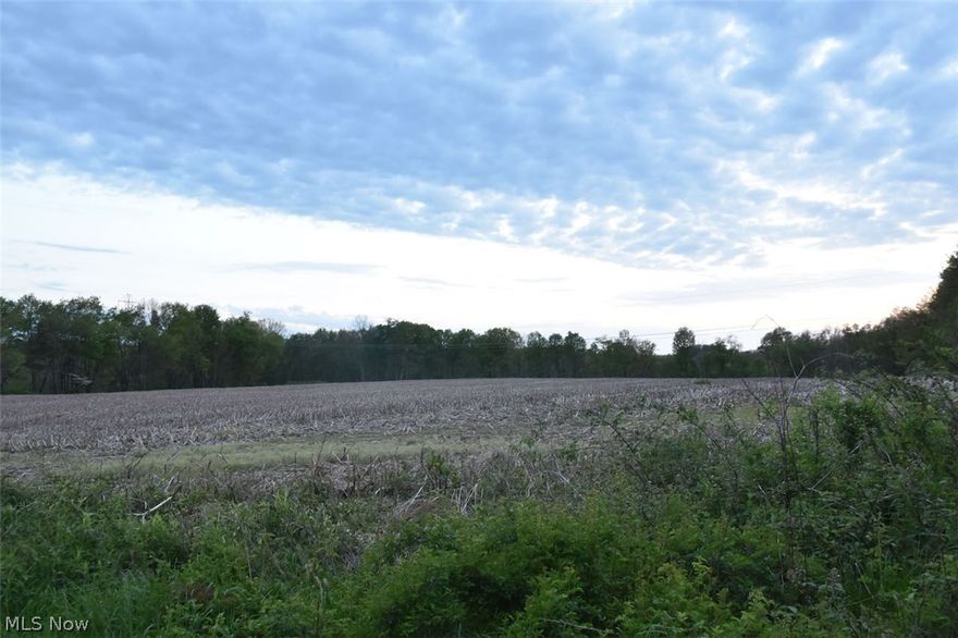 This 59+ acre parcel has approximately 35 tillable acres and about 24 acres of woods. The property lay out is very well divided between woods and field, making this a great opportunity for recreation and farming. There are many locations on this property to build your new dream home or get-away. The 2 story home on the property is currently uninhabitable. Call today!