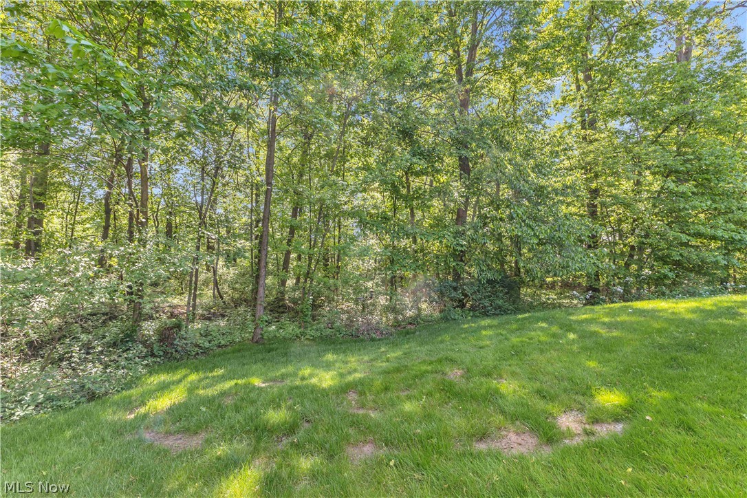 Cinnamon Woods - Residential