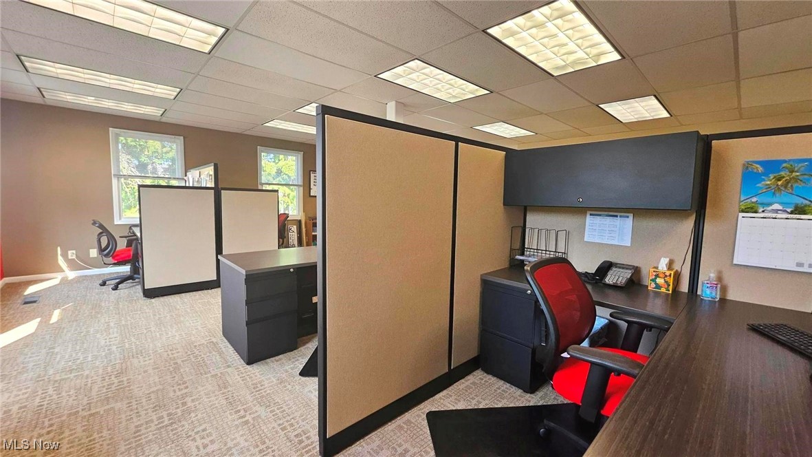 33610 Solon Road 1