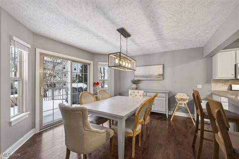 Tiny photo for 105 Tinkers Trail, Chardon, OH 44024 (MLS # 5180158)