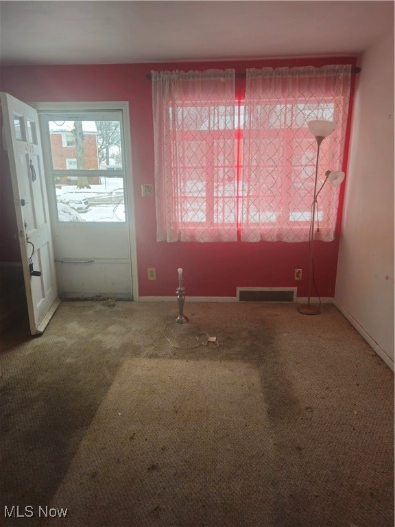 Blisswood Village Condo - Residential