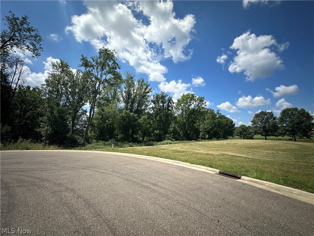 Hollyhock Avenue, Canton, Ohio image 2