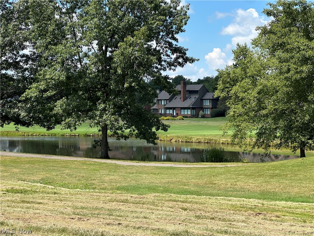 Hollyhock Avenue, Canton, Ohio image 3