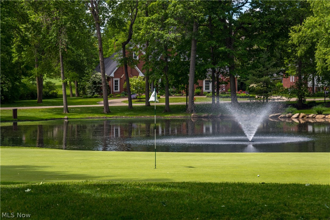 Hollyhock Avenue, Canton, Ohio image 7