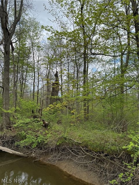 Vacant Land For Sale - V/L Donley Road<br/> Middlefield, OH 44062