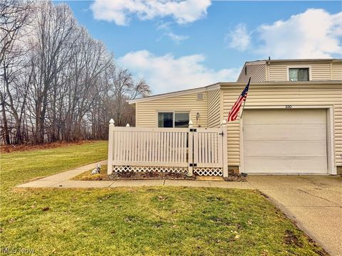 Condo For Sale - 330 Deepwood Drive<br/> Medina County, Wadsworth, OH 44281