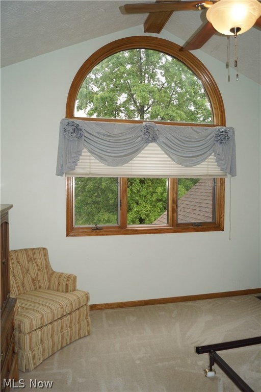 Williamsburg Village Estates - Residential