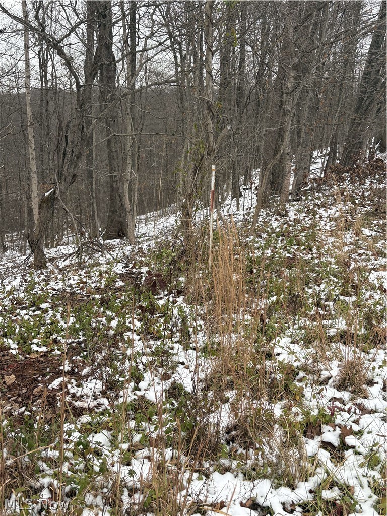 State Rt 555