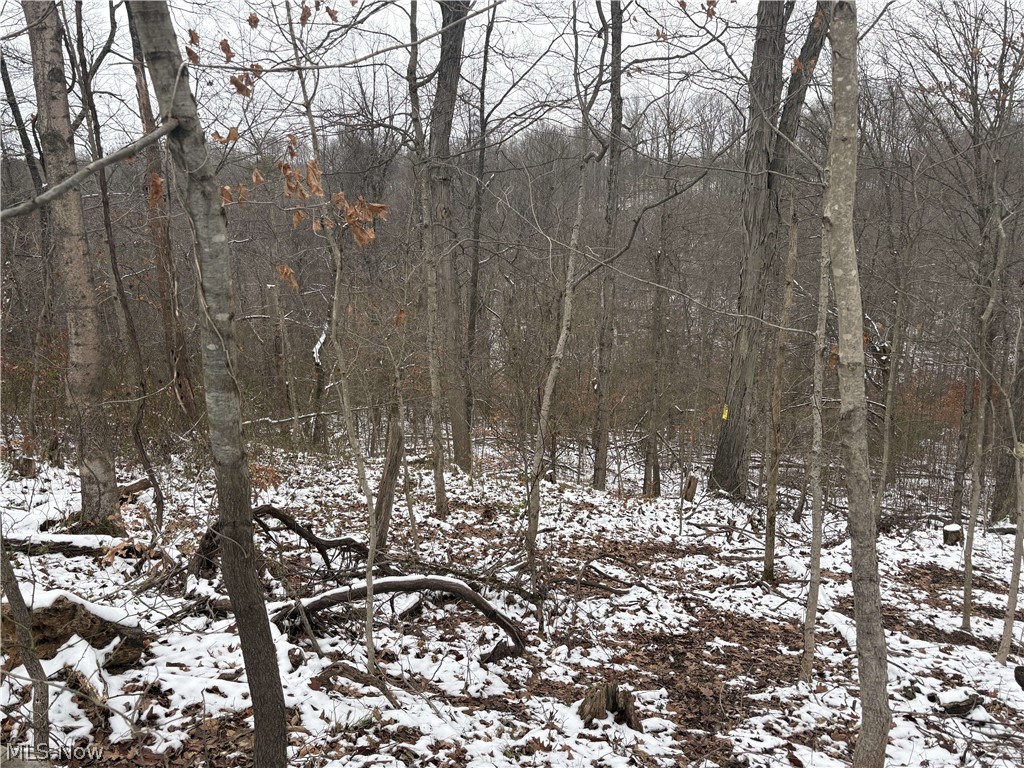 State Rt 555