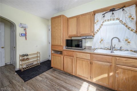 Tiny photo for 869 Packard Drive, Akron, OH 44320 (MLS # 5190100)