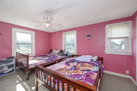 Tiny photo for 869 Packard Drive, Akron, OH 44320 (MLS # 5190100)