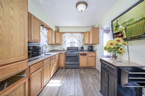 Tiny photo for 869 Packard Drive, Akron, OH 44320 (MLS # 5190100)