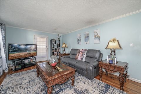 Tiny photo for 869 Packard Drive, Akron, OH 44320 (MLS # 5190100)