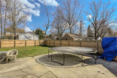 Tiny photo for 869 Packard Drive, Akron, OH 44320 (MLS # 5190100)