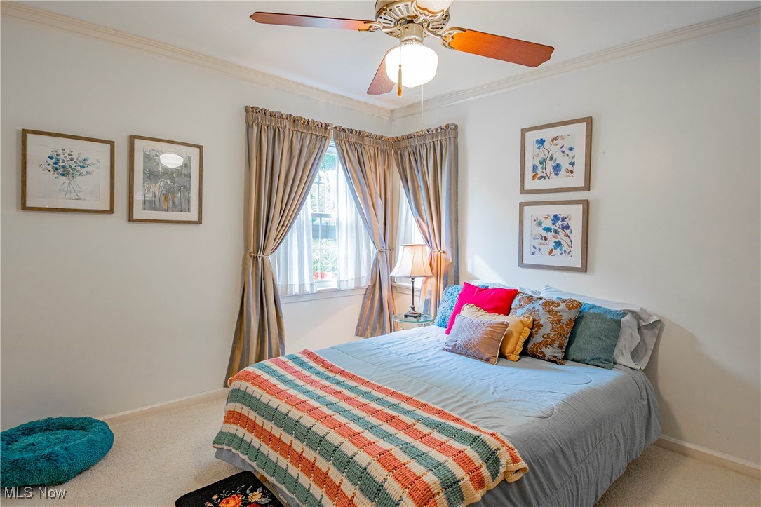 Northampton - Residential