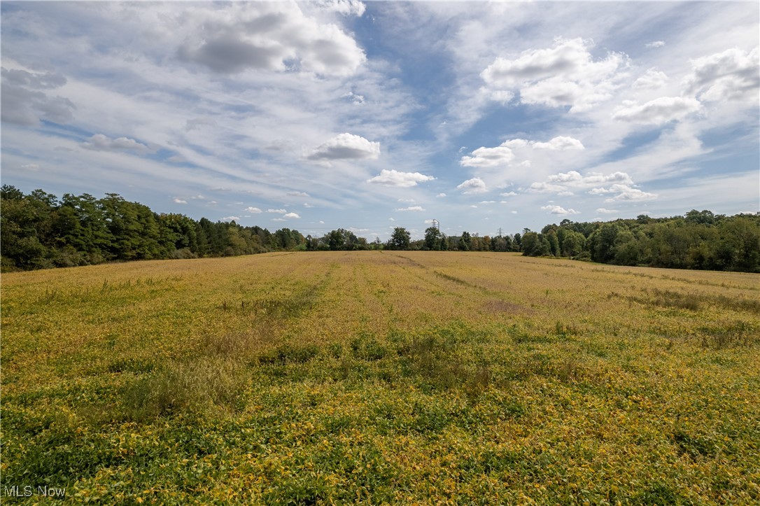 Deerfield Avenue, Dalton, Ohio image 12