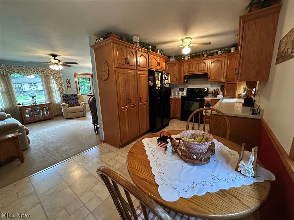 Photo of 656 Dan Street, Smithville, OH 44677 (MLS # 5222486)