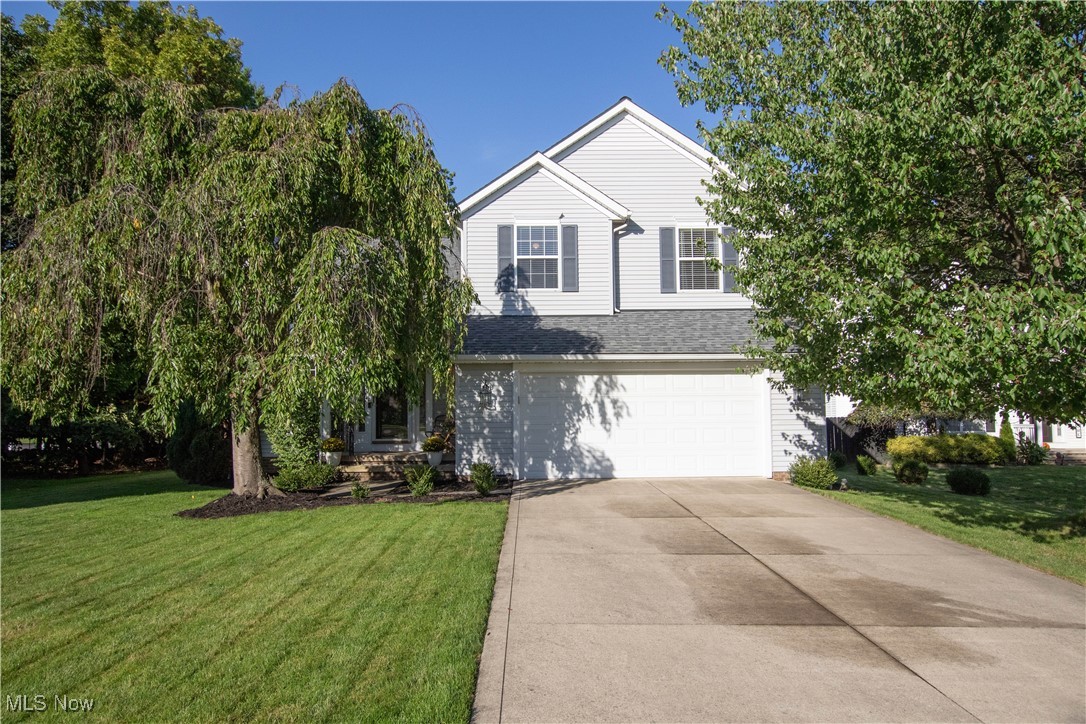 Rushmore - Residential