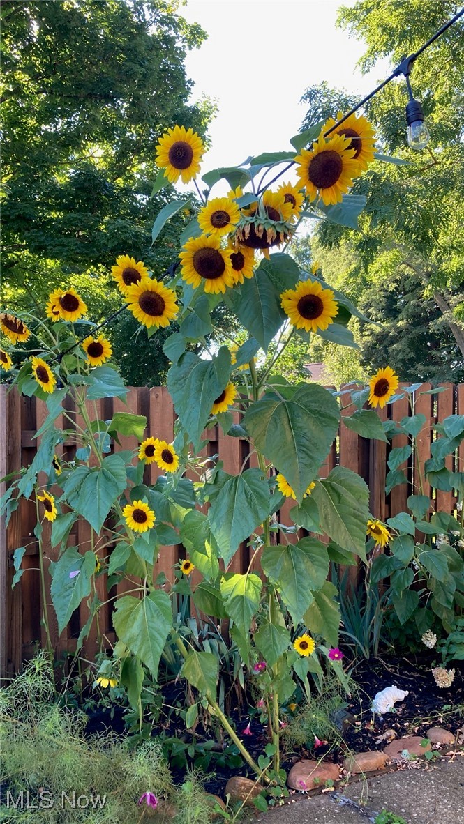 Keers Surv - Residential