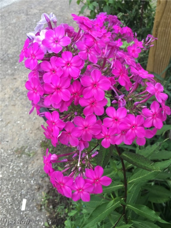 Keers Surv - Residential