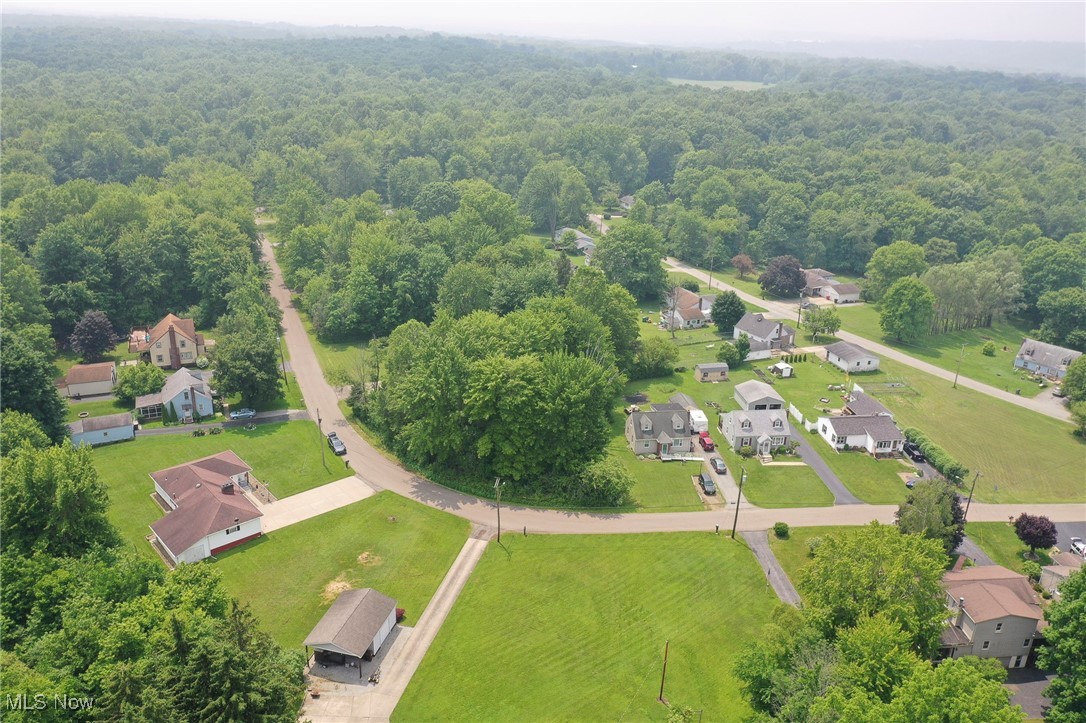 Buena Vista Heights - Land