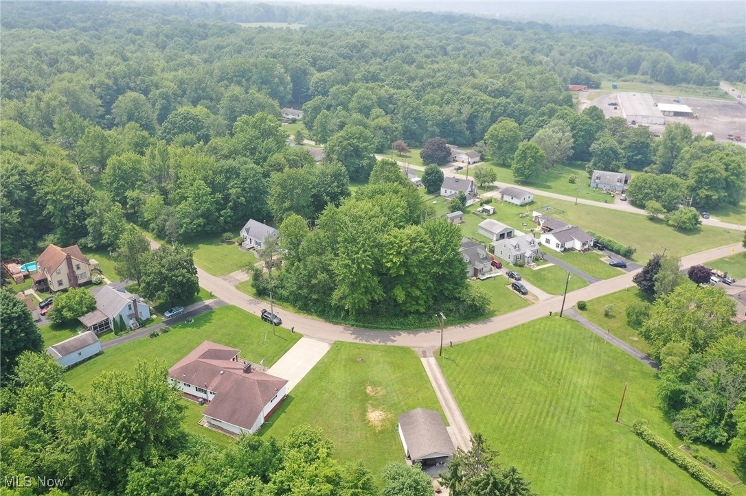 Buena Vista Heights - Land