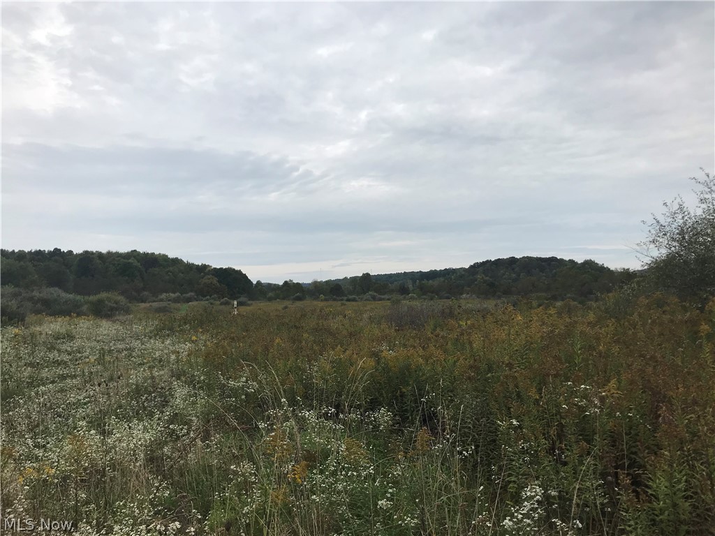 Beautiful piece of property in Beaver Local School District offering amazing views of the 25 1/2 acres of land. Looking to build, or property to hunt on? Electric is already on property.