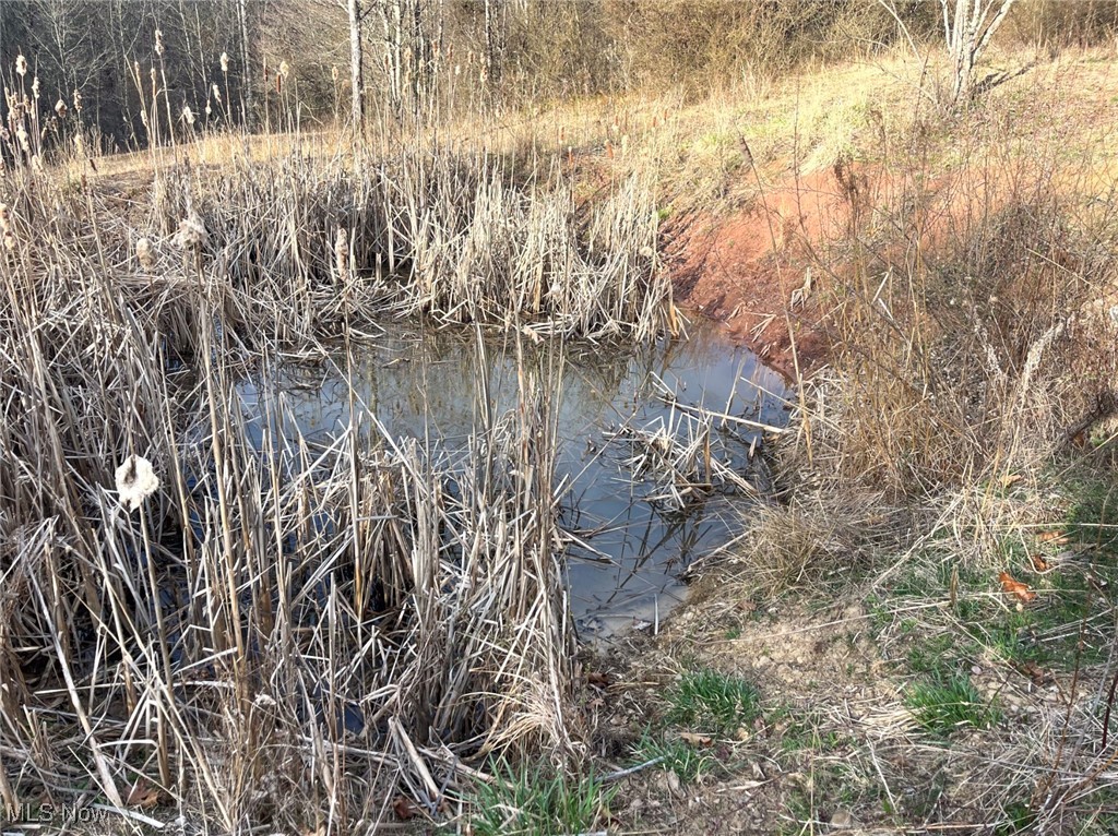Pisgah Lane, Glouster, Ohio image 18
