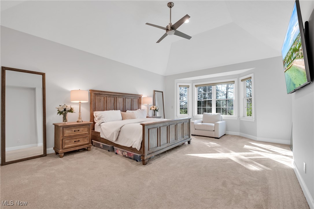 4128 Saint Theresa Boulevard, Avon, Ohio image 12