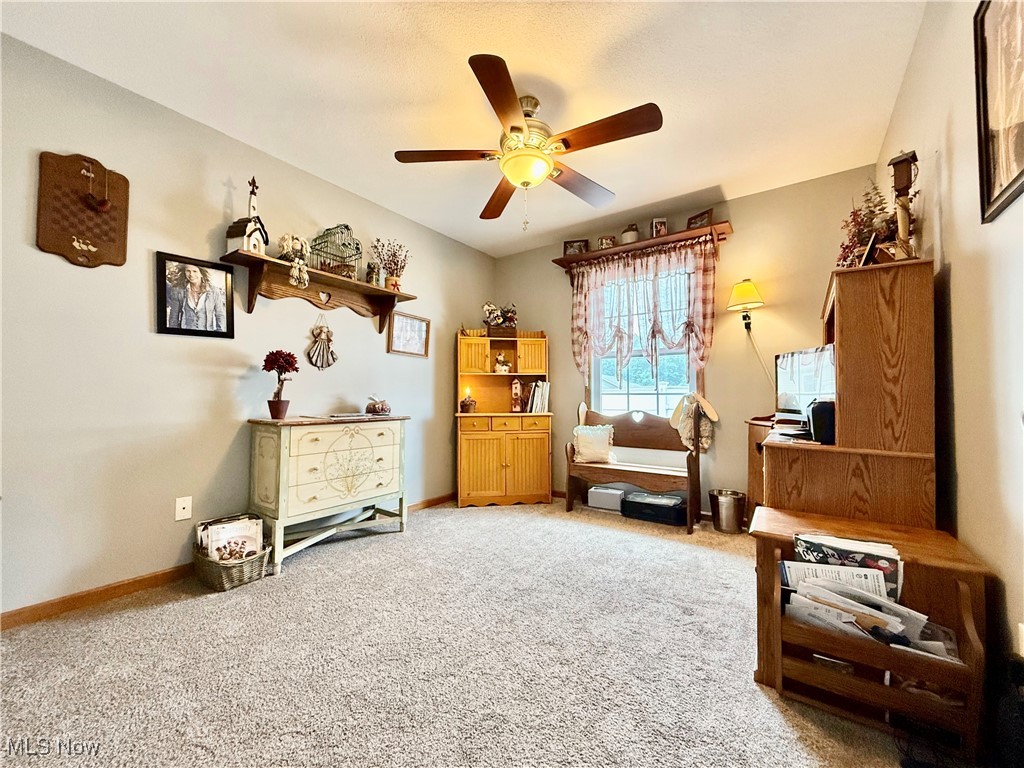 603 S Raccoon Road #54, Youngstown, Ohio image 28
