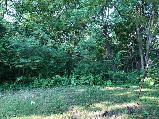 Bishop Hoyt Allotment - Residential