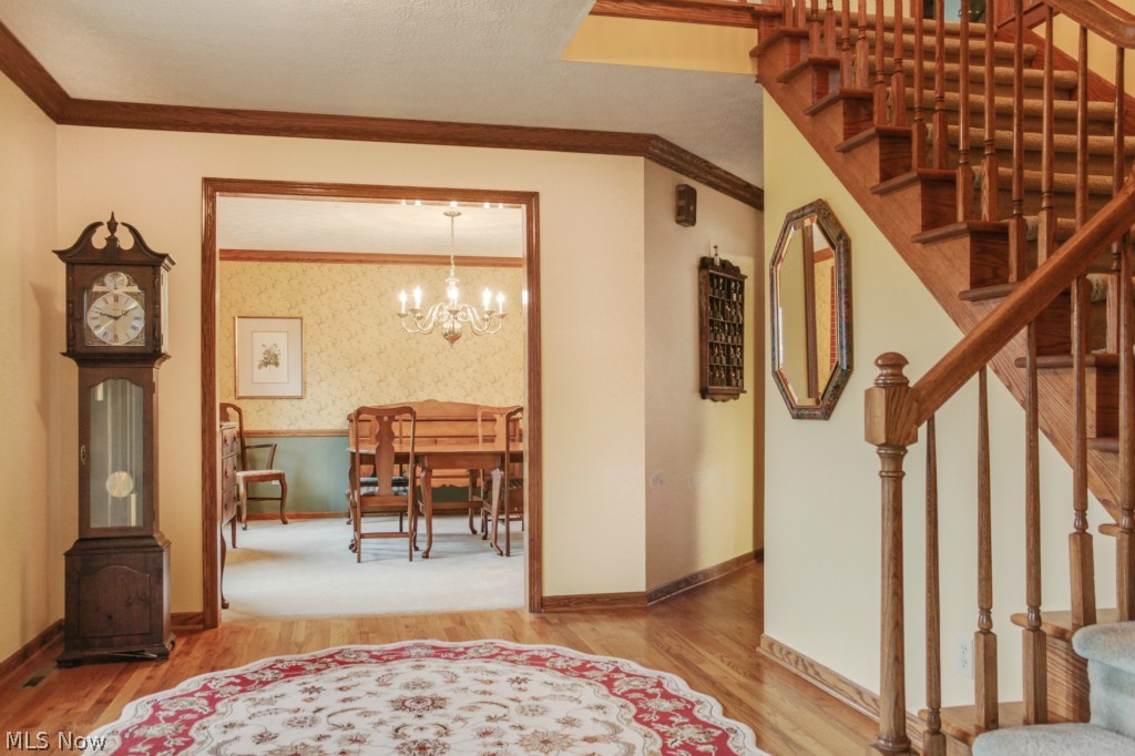 Steeplechase Allotment Sec 01 - Residential