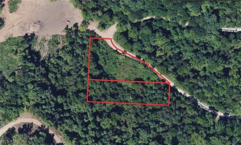 Vacant Land For Sale - 1720 Big Creek Road<br/> Crown City, OH 45623