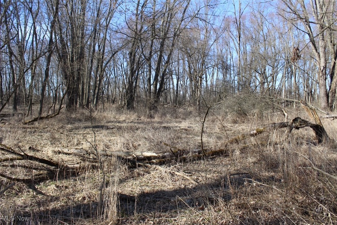 Prairie Lane Road, Wooster, Ohio image 15