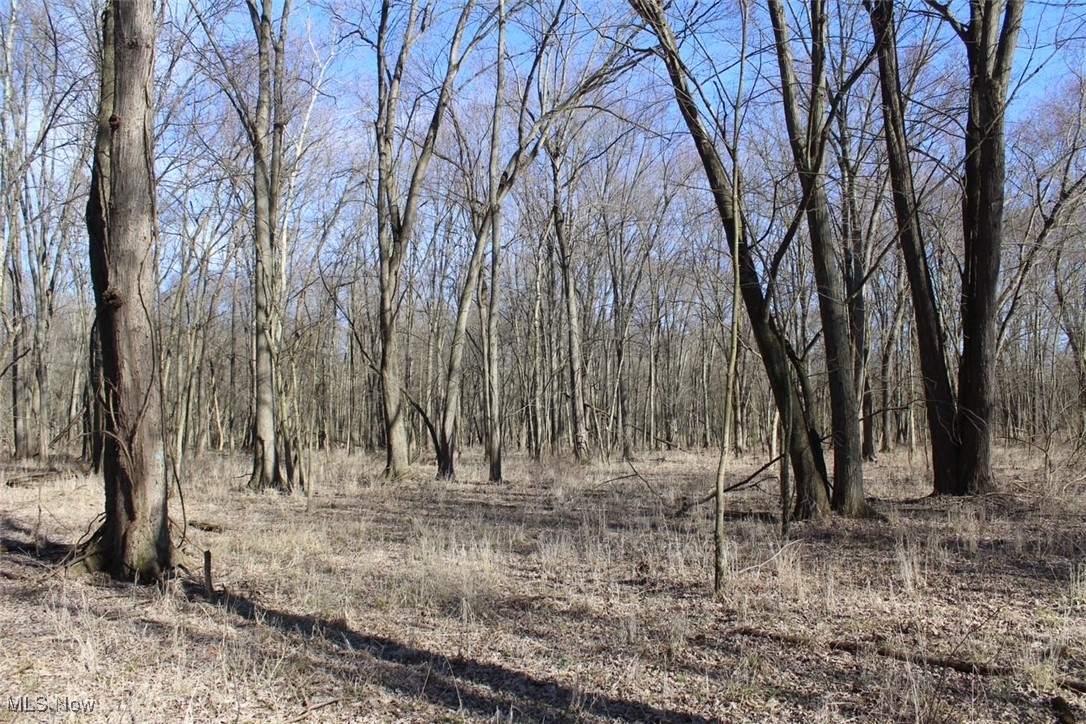 Prairie Lane Road, Wooster, Ohio image 9