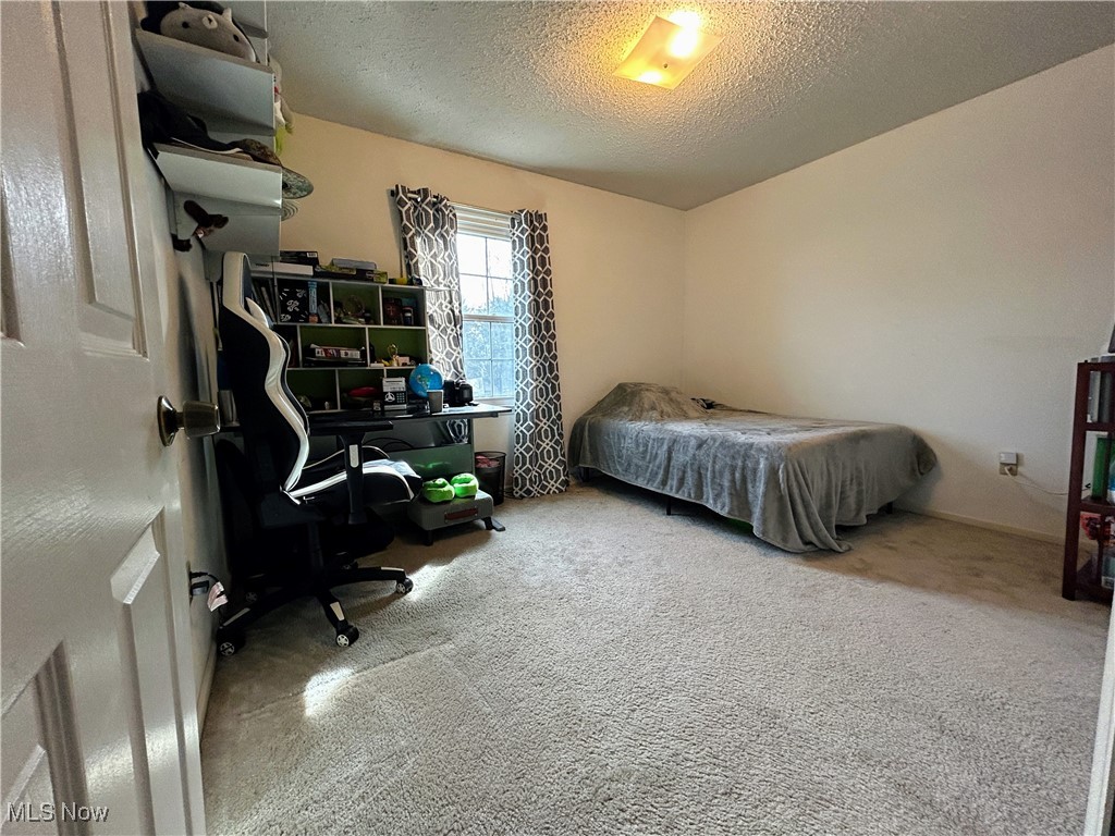 3333 Dayton Road, Madison, Ohio image 19