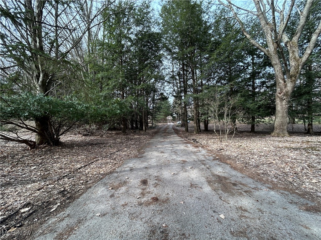 3333 Dayton Road, Madison, Ohio image 3