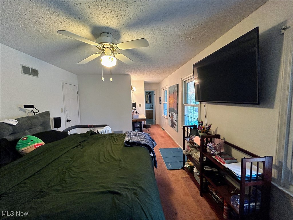 3333 Dayton Road, Madison, Ohio image 23