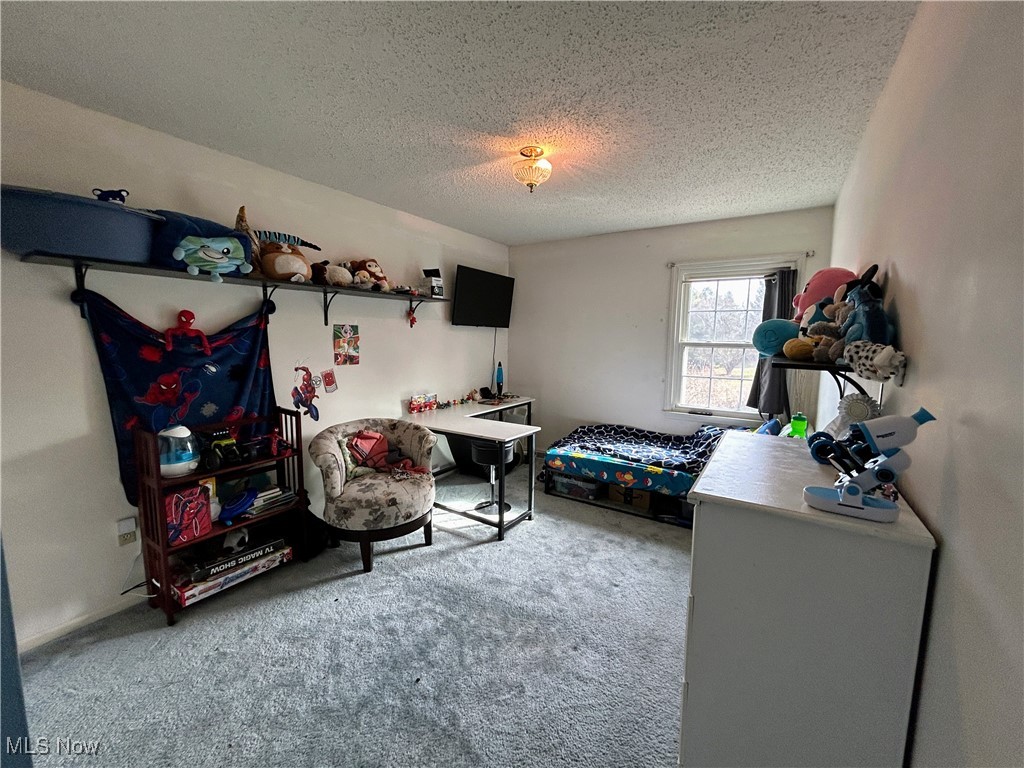 3333 Dayton Road, Madison, Ohio image 21