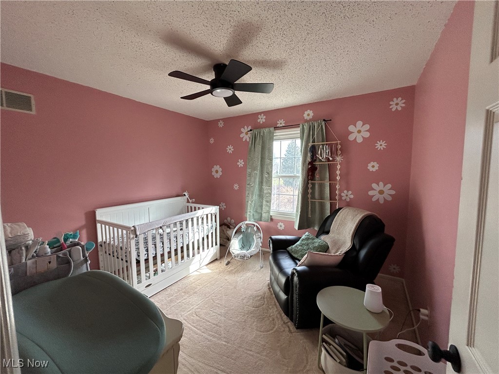 3333 Dayton Road, Madison, Ohio image 20