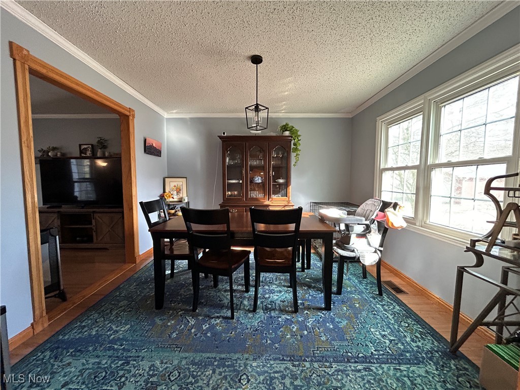 3333 Dayton Road, Madison, Ohio image 9