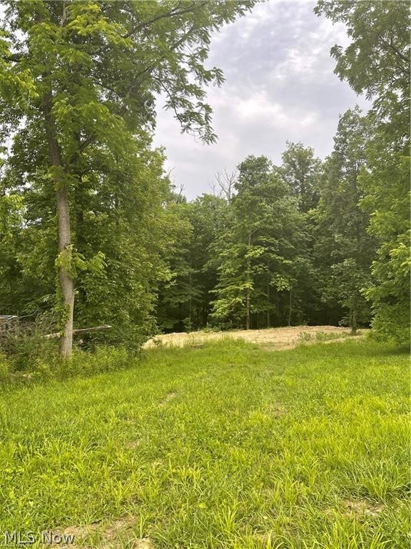 Looking to build? Check out this property!! 10 acres perfect for building your Dream home, Modular home, or even hunting cabin!! Situated in Tri-Valley SD. An abundance of trees and trails on both lots with some cleared area as well! Property also has 2 ponds!! Property has road frontage and is conveniently located with easy commute to Zanesville, Newark, or Columbus!!!