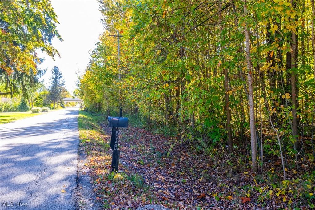 Photo of 529 Furnace Road, Conneaut, OH 44030 (MLS # 5164986)
