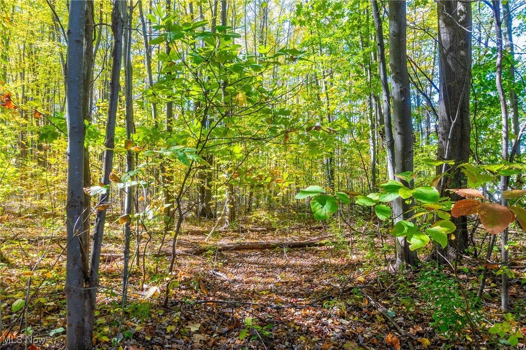 Photo of 529 Furnace Road, Conneaut, OH 44030 (MLS # 5164986)