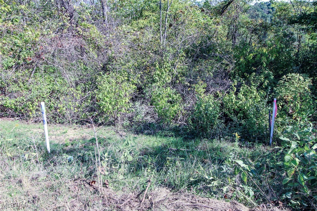 Lot 3 Moss Run Road, Marietta, Ohio image 3