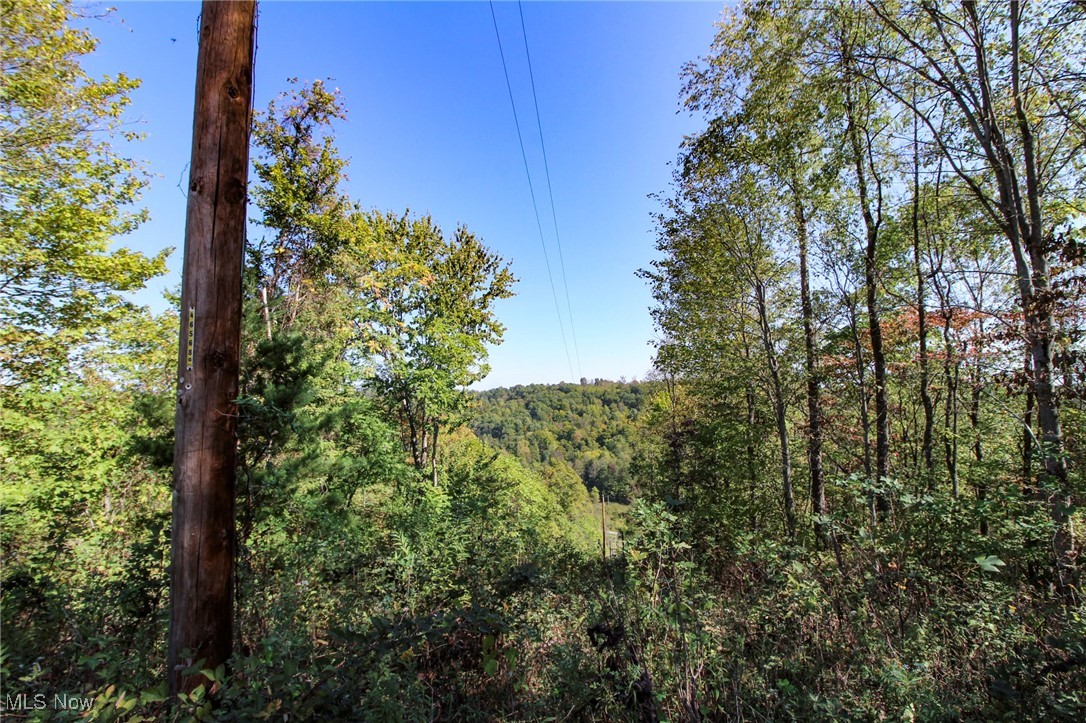 Lot 3 Moss Run Road, Marietta, Ohio image 8