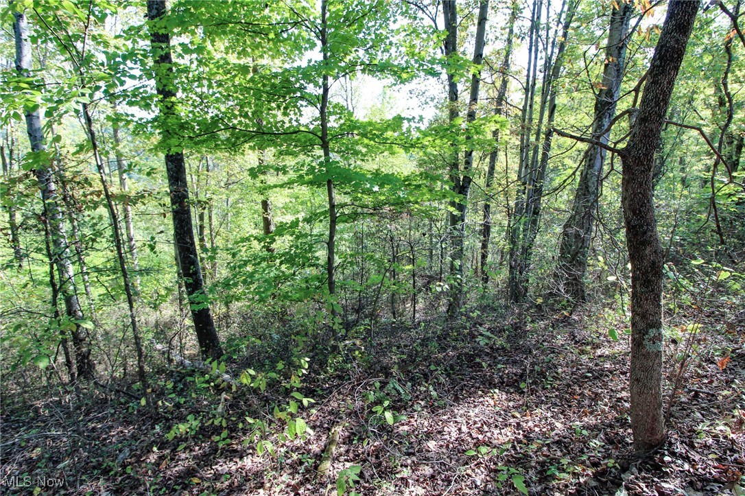 Lot 3 Moss Run Road, Marietta, Ohio image 14