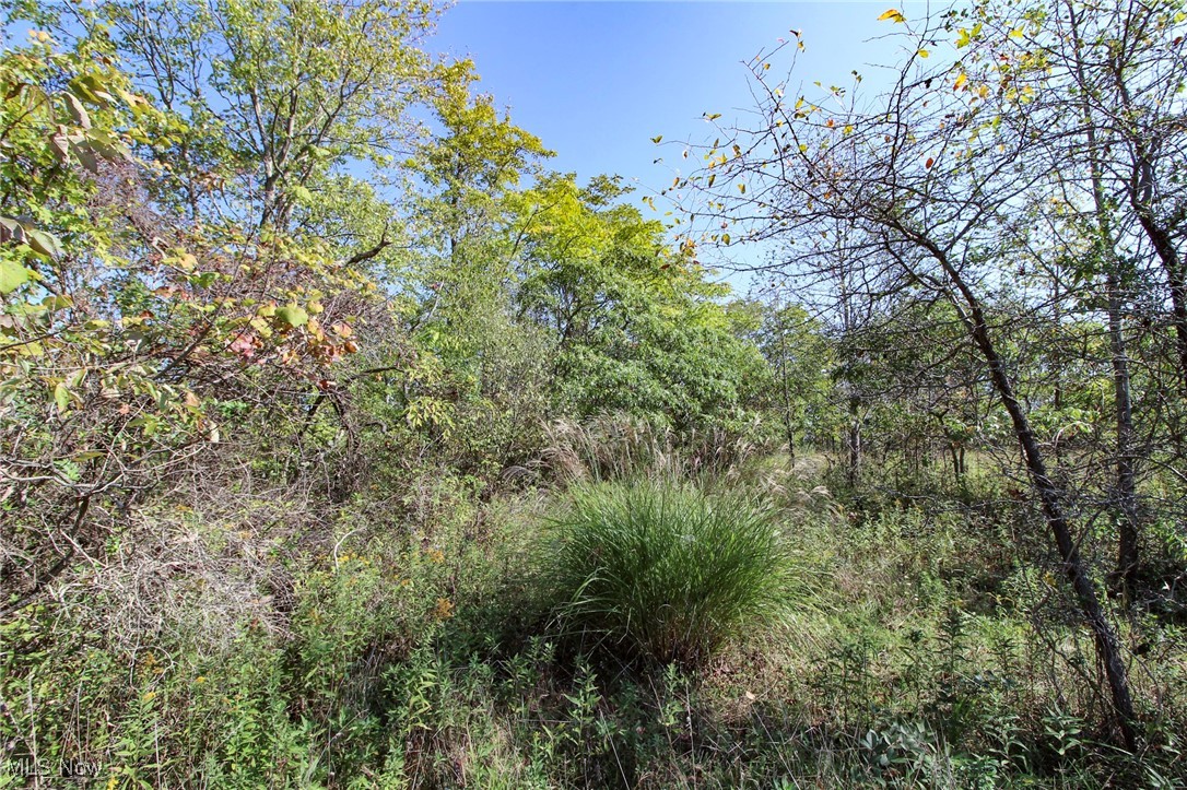 Lot 3 Moss Run Road, Marietta, Ohio image 10