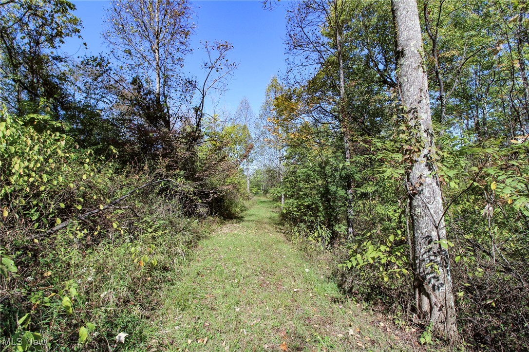 Lot 3 Moss Run Road, Marietta, Ohio image 12